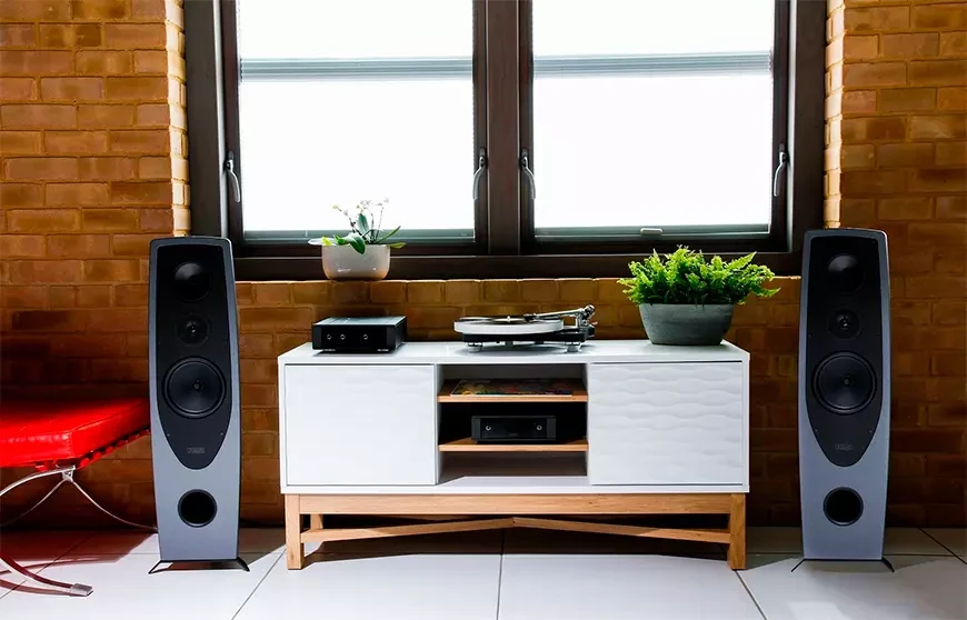   Speaker systems Rega Aya
