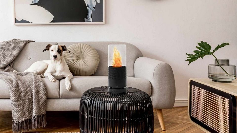 The Cool Dog seems to like the Cool flaming speaker