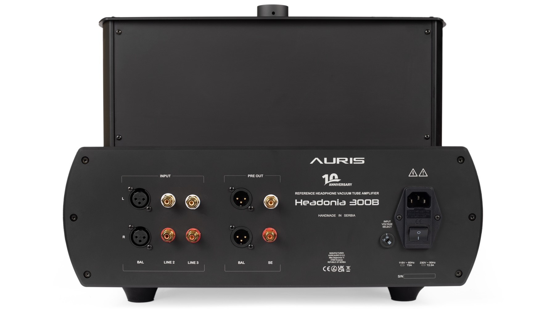 Auris Headonia 300B back panel