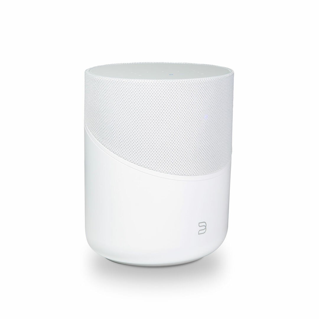 BLUESOUND PULSE M (P230)