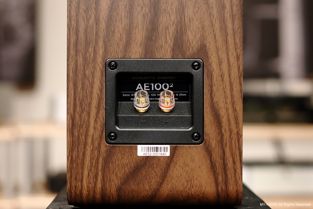 AE_100MK2_070.jpg AE_100MK2_070.jpg