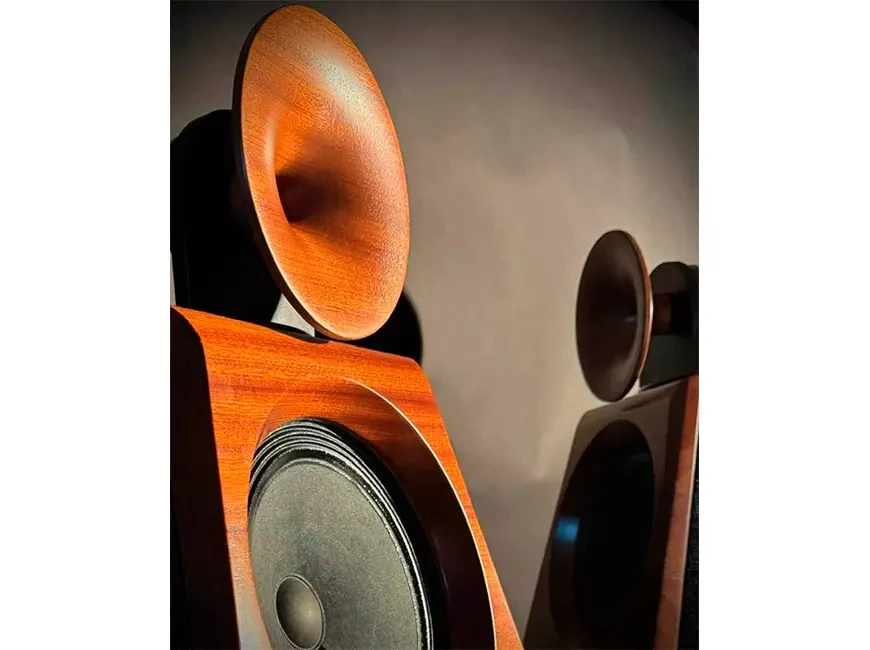 Open speaker systems Diesis Audio EdoVox