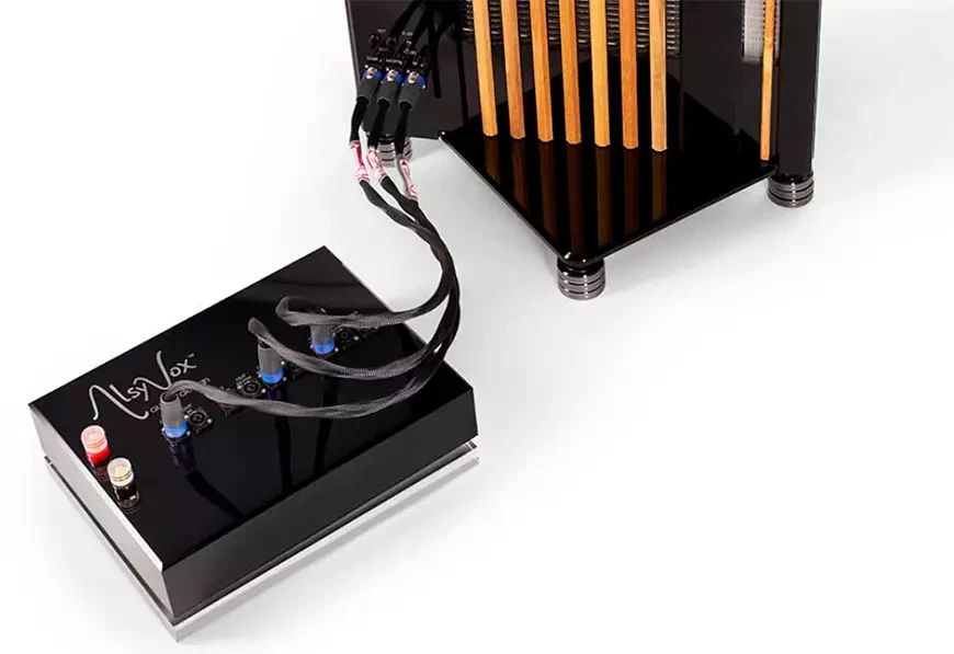   Flagship Alsyvox Michelangelo loudspeakers