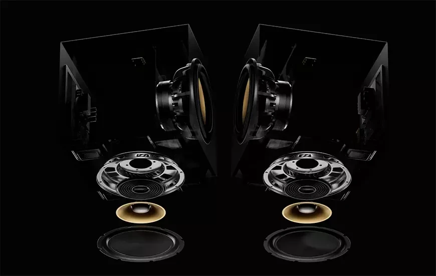 12" Nakamichi Dragon Active Subwoofer