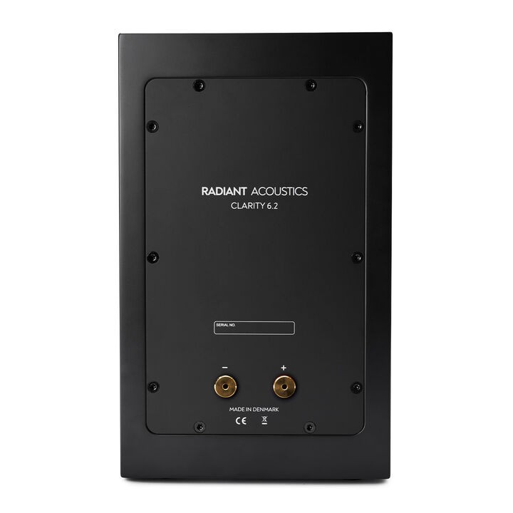 Radiant Acoustics Clarity 6.2 back panel