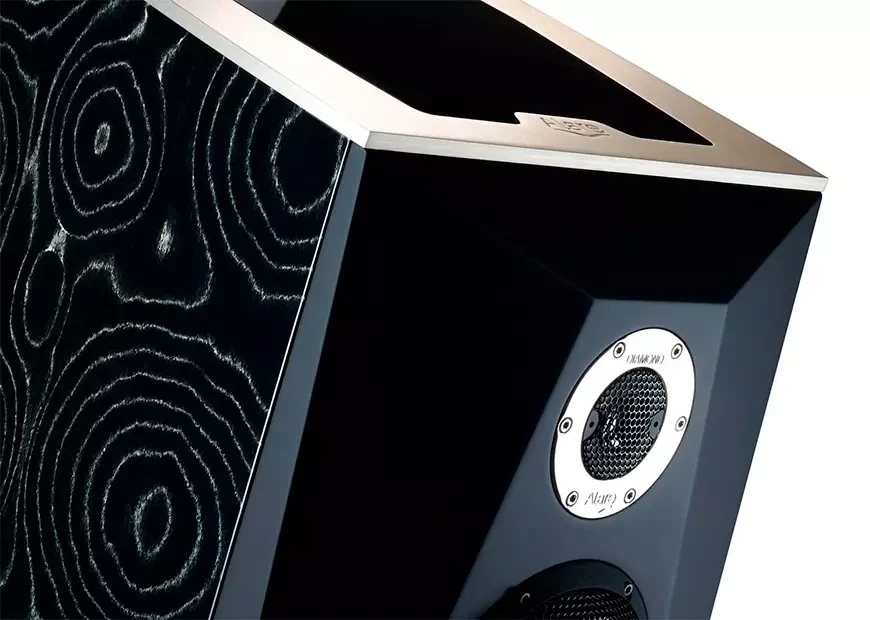 Acoustic systems Alare Remiga 2 Be