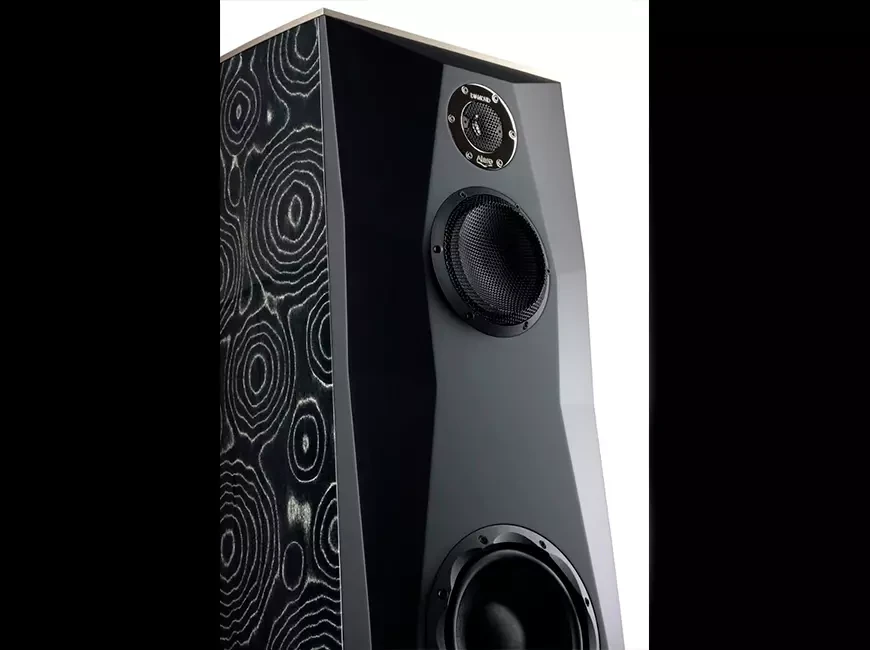 Acoustic systems Alare Remiga 2 Be