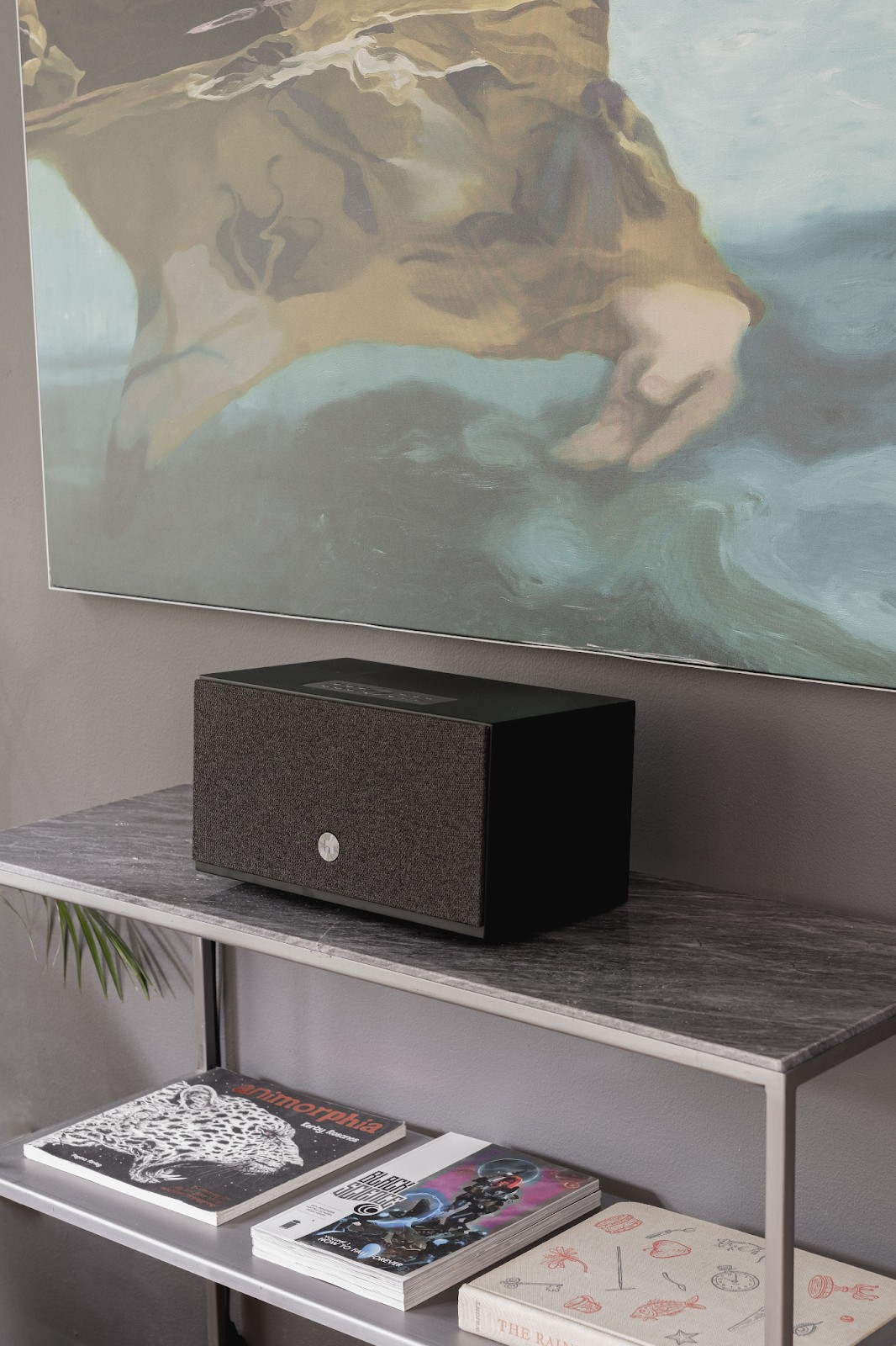 Audio Pro's A10 and C10 MKII speakers, powered by WiiM OS, deliver a tailored and connected audio experience utilizing advanced technology.