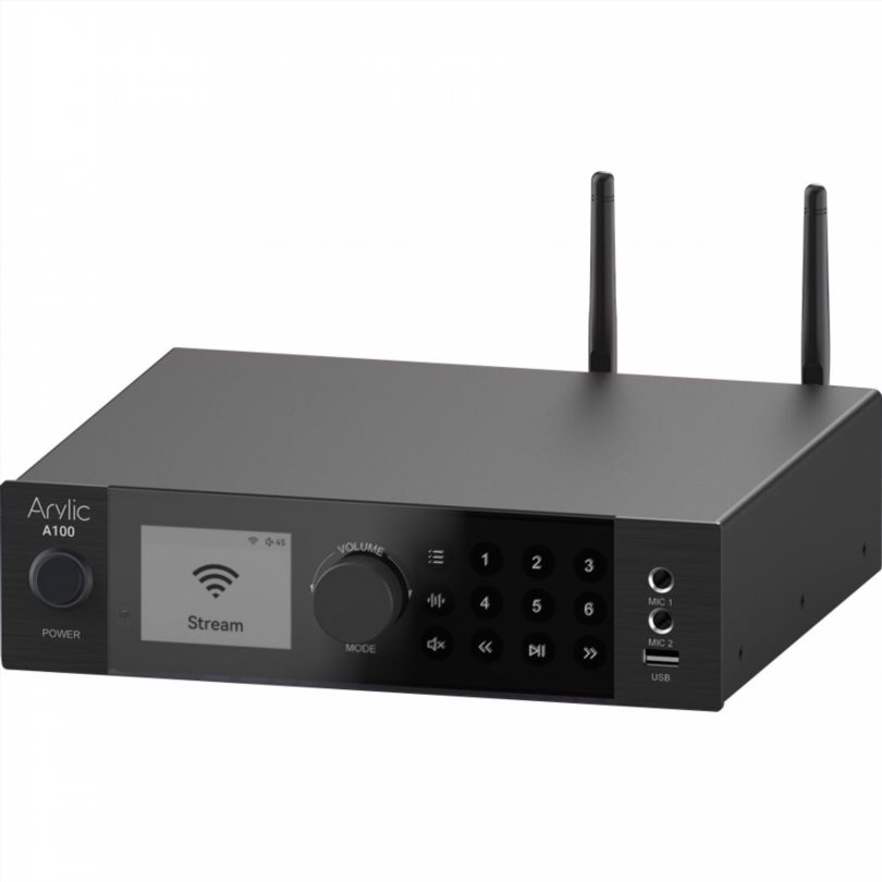 Arylic A100 Arylic A100