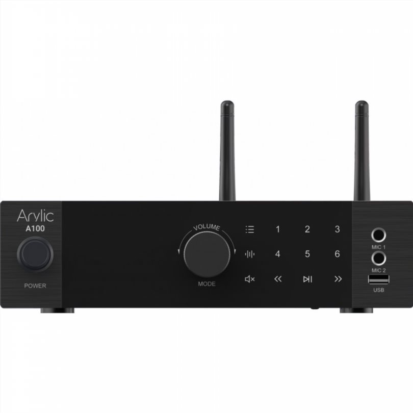 Arylic A100 Arylic A100