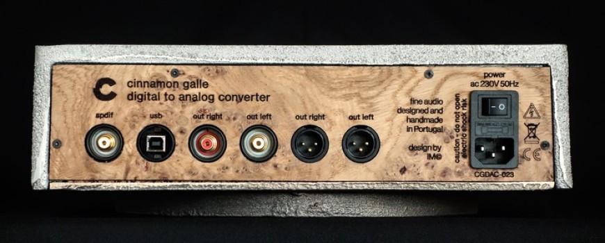 Cinnamon Galle inputs and outputs