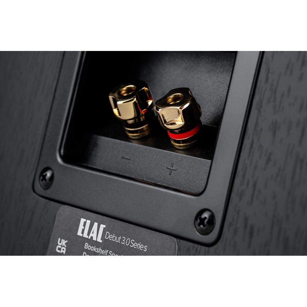 ELAC Debut 3.0 B6.3 Inputs