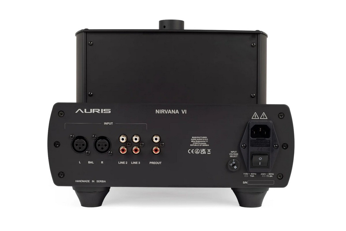 Auris Nirvana VI Inputs and outputs