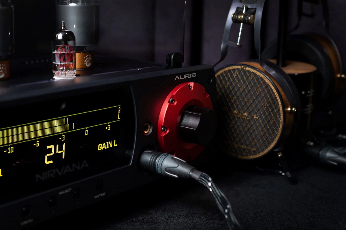 The new amplifier is a tube device, based on American 6CA7 power pentodes