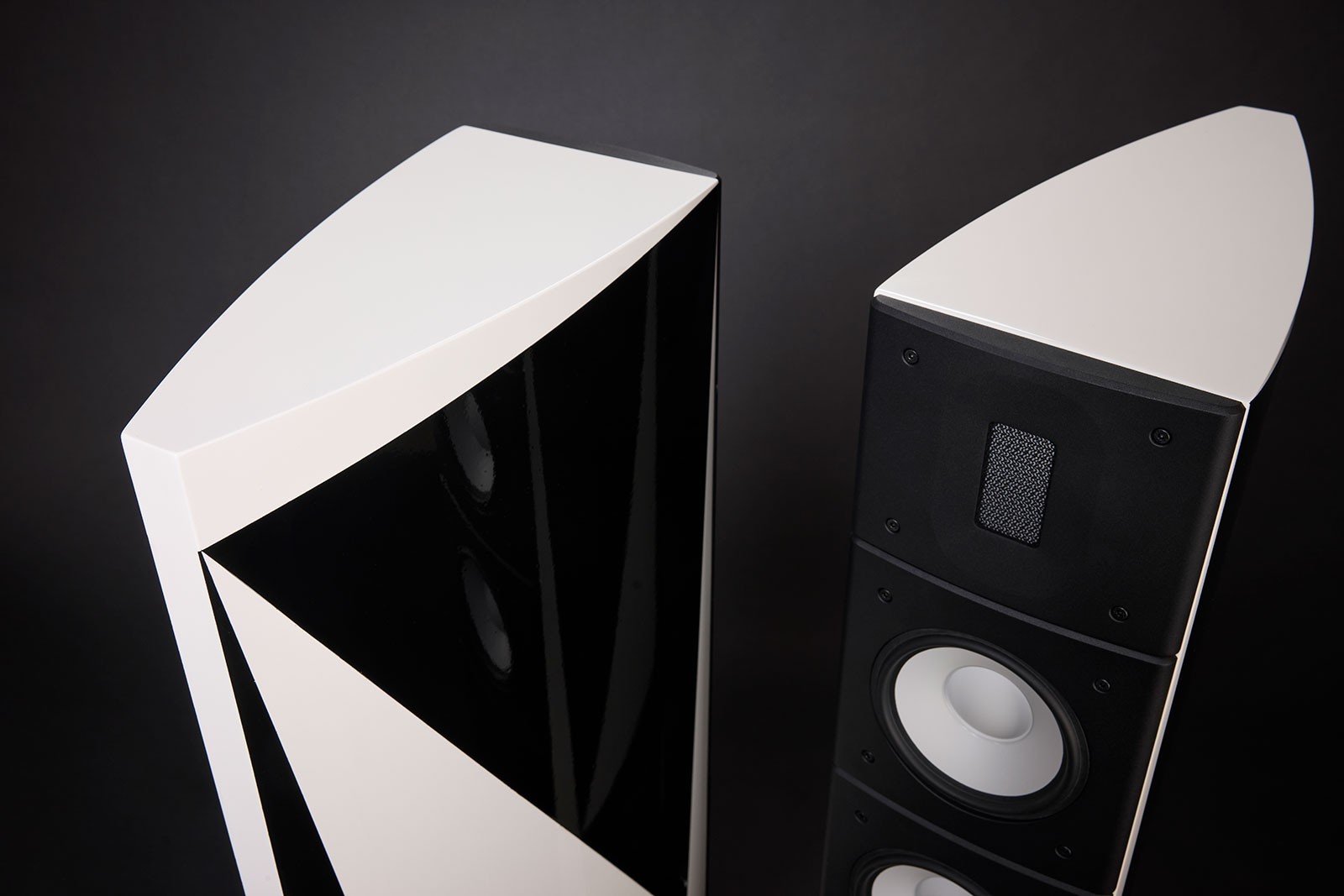 Raidho Acoustics Unveils DSP-Powered, Diamond-Driver Subwoofers and Flagship Floorstanders