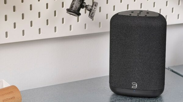 Bluesound PULSE FLEX (P130)