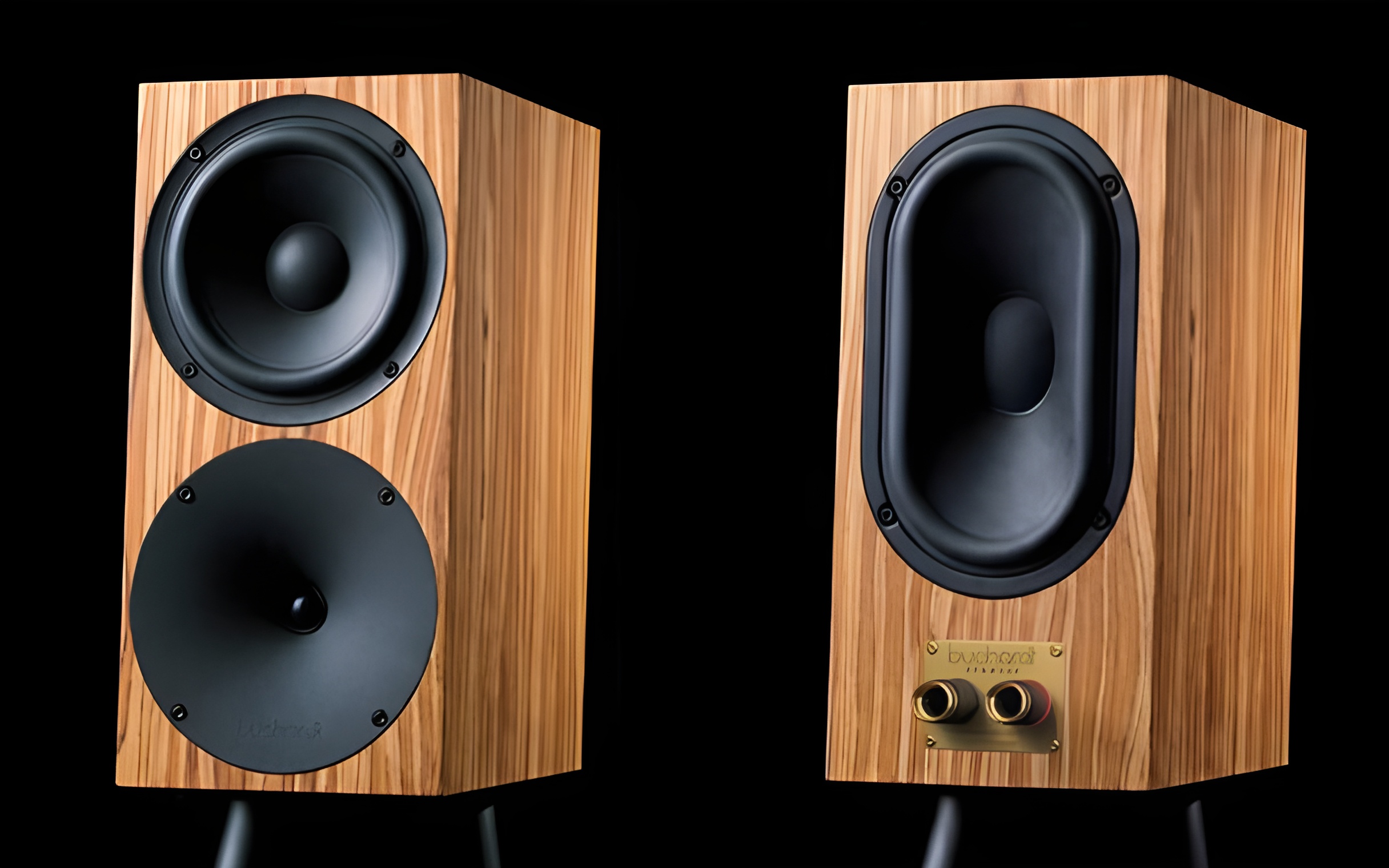 The two-way stand-mount design uses a rear passive radiator to deliver deep, controlled bass from a compact, high-performance cabinet.